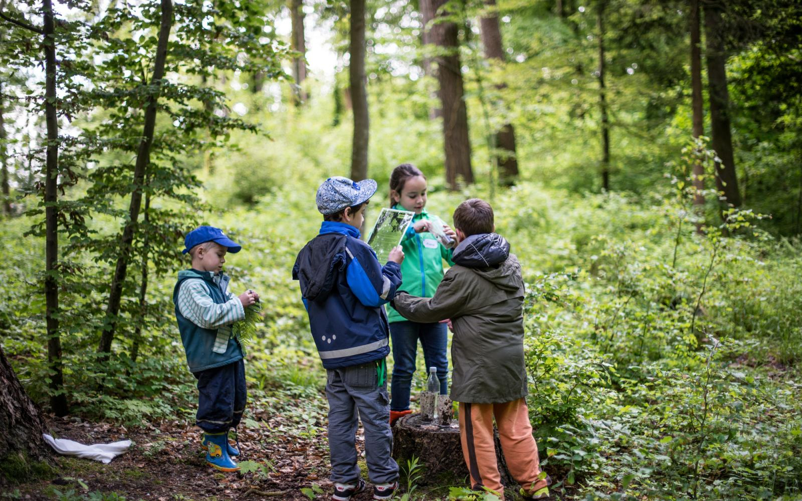 «Ab in die Natur – draussen unterrichten»