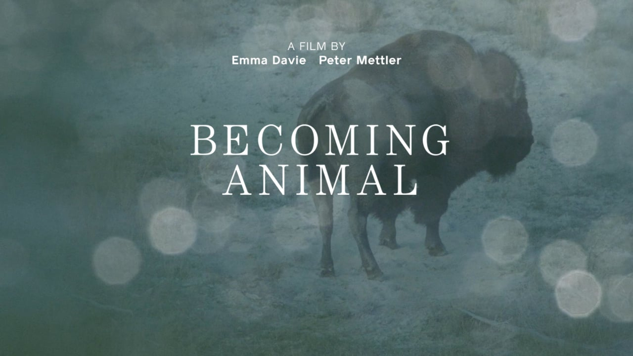 Kinotipp «Becoming Animal»